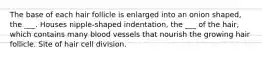 The base of each hair follicle is enlarged into an onion shaped, the ___. Houses nipple-shaped indentation, the ___ of the hair, which contains many blood vessels that nourish the growing hair follicle. Site of hair cell division.