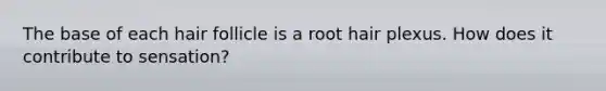 The base of each hair follicle is a root hair plexus. How does it contribute to sensation?