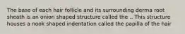 The base of each hair follicle and its surrounding derma root sheath is an onion shaped structure called the .. This structure houses a nook shaped indentation called the papilla of the hair