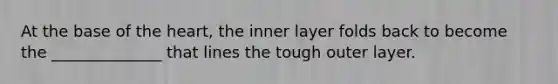 At the base of the heart, the inner layer folds back to become the ______________ that lines the tough outer layer.