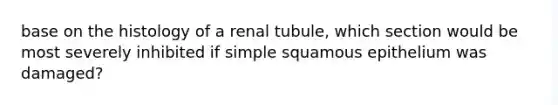 base on the histology of a renal tubule, which section would be most severely inhibited if simple squamous epithelium was damaged?