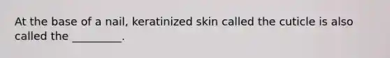 At the base of a nail, keratinized skin called the cuticle is also called the _________.