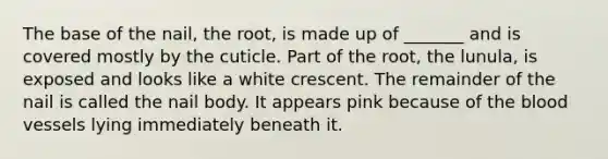 The base of the nail, the root, is made up of _______ and is covered mostly by the cuticle. Part of the root, the lunula, is exposed and looks like a white crescent. The remainder of the nail is called the nail body. It appears pink because of the blood vessels lying immediately beneath it.