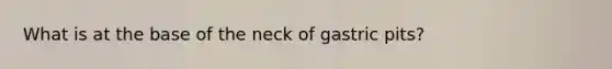 What is at the base of the neck of gastric pits?