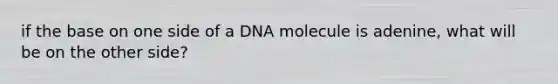 if the base on one side of a DNA molecule is adenine, what will be on the other side?