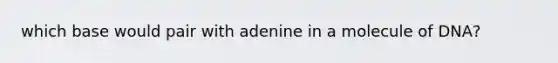 which base would pair with adenine in a molecule of DNA?