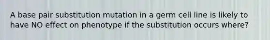 A base pair substitution mutation in a germ cell line is likely to have NO effect on phenotype if the substitution occurs where?