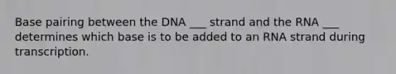 Base pairing between the DNA ___ strand and the RNA ___ determines which base is to be added to an RNA strand during transcription.