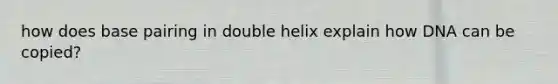 how does base pairing in double helix explain how DNA can be copied?