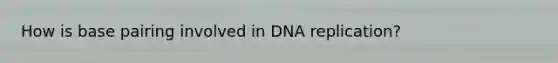 How is base pairing involved in DNA replication?