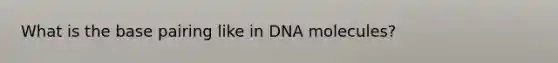 What is the base pairing like in DNA molecules?