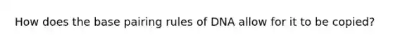 How does the base pairing rules of DNA allow for it to be copied?