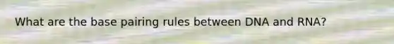 What are the base pairing rules between DNA and RNA?