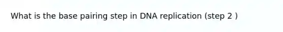 What is the base pairing step in DNA replication (step 2 )