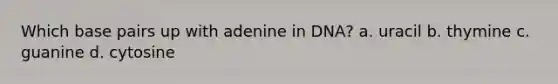 Which base pairs up with adenine in DNA? a. uracil b. thymine c. guanine d. cytosine