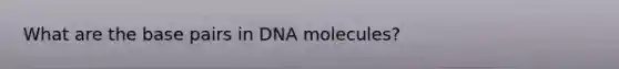 What are the base pairs in DNA molecules?