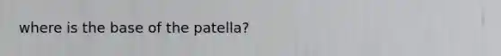 where is the base of the patella?