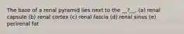 The base of a renal pyramid lies next to the __?__. (a) renal capsule (b) renal cortex (c) renal fascia (d) renal sinus (e) perirenal fat