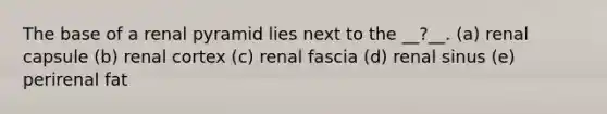 The base of a renal pyramid lies next to the __?__. (a) renal capsule (b) renal cortex (c) renal fascia (d) renal sinus (e) perirenal fat