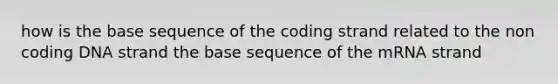 how is the base sequence of the coding strand related to the non coding DNA strand the base sequence of the mRNA strand