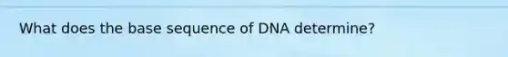 What does the base sequence of DNA determine?