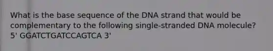 What is the base sequence of the DNA strand that would be complementary to the following single-stranded DNA molecule? 5' GGATCTGATCCAGTCA 3'