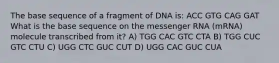 The base sequence of a fragment of DNA is: ACC GTG CAG GAT What is the base sequence on the messenger RNA (mRNA) molecule transcribed from it? A) TGG CAC GTC CTA B) TGG CUC GTC CTU C) UGG CTC GUC CUT D) UGG CAC GUC CUA