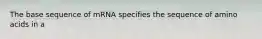 The base sequence of mRNA specifies the sequence of amino acids in a