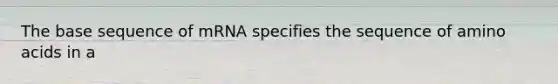 The base sequence of mRNA specifies the sequence of amino acids in a