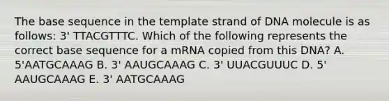 The base sequence in the template strand of DNA molecule is as follows: 3' TTACGTTTC. Which of the following represents the correct base sequence for a mRNA copied from this DNA? A. 5'AATGCAAAG B. 3' AAUGCAAAG C. 3' UUACGUUUC D. 5' AAUGCAAAG E. 3' AATGCAAAG