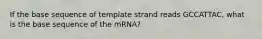 If the base sequence of template strand reads GCCATTAC, what is the base sequence of the mRNA?