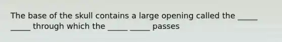 The base of the skull contains a large opening called the _____ _____ through which the _____ _____ passes