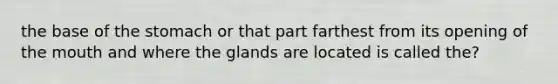 the base of the stomach or that part farthest from its opening of the mouth and where the glands are located is called the?
