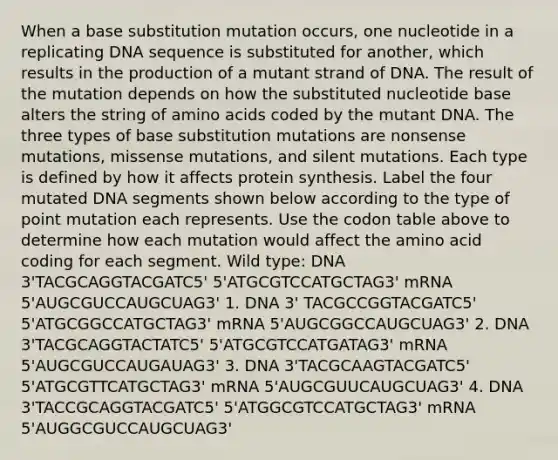 When a base substitution mutation occurs, one nucleotide in a replicating DNA sequence is substituted for another, which results in the production of a mutant strand of DNA. The result of the mutation depends on how the substituted nucleotide base alters the string of amino acids coded by the mutant DNA. The three types of base substitution mutations are nonsense mutations, missense mutations, and silent mutations. Each type is defined by how it affects protein synthesis. Label the four mutated DNA segments shown below according to the type of point mutation each represents. Use the codon table above to determine how each mutation would affect the amino acid coding for each segment. Wild type: DNA 3'TACGCAGGTACGATC5' 5'ATGCGTCCATGCTAG3' mRNA 5'AUGCGUCCAUGCUAG3' 1. DNA 3' TACGCCGGTACGATC5' 5'ATGCGGCCATGCTAG3' mRNA 5'AUGCGGCCAUGCUAG3' 2. DNA 3'TACGCAGGTACTATC5' 5'ATGCGTCCATGATAG3' mRNA 5'AUGCGUCCAUGAUAG3' 3. DNA 3'TACGCAAGTACGATC5' 5'ATGCGTTCATGCTAG3' mRNA 5'AUGCGUUCAUGCUAG3' 4. DNA 3'TACCGCAGGTACGATC5' 5'ATGGCGTCCATGCTAG3' mRNA 5'AUGGCGUCCAUGCUAG3'