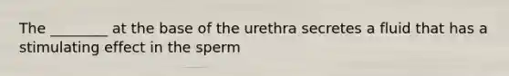 The ________ at the base of the urethra secretes a fluid that has a stimulating effect in the sperm