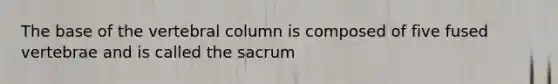 The base of the vertebral column is composed of five fused vertebrae and is called the sacrum