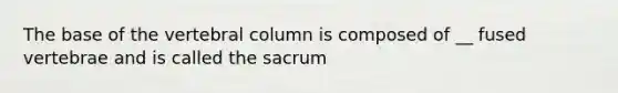 The base of the vertebral column is composed of __ fused vertebrae and is called the sacrum