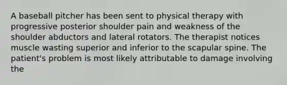 A baseball pitcher has been sent to physical therapy with progressive posterior shoulder pain and weakness of the shoulder abductors and lateral rotators. The therapist notices muscle wasting superior and inferior to the scapular spine. The patient's problem is most likely attributable to damage involving the