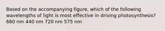 Based on the accompanying figure, which of the following wavelengths of light is most effective in driving photosynthesis? 660 nm 440 nm 720 nm 575 nm