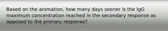 Based on the animation, how many days sooner is the IgG maximum concentration reached in the secondary response as opposed to the primary response?