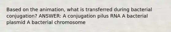 Based on the animation, what is transferred during bacterial conjugation? ANSWER: A conjugation pilus RNA A bacterial plasmid A bacterial chromosome