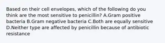 Based on their cell envelopes, which of the following do you think are the most sensitive to penicillin? A.Gram positive bacteria B.Gram negative bacteria C.Both are equally sensitive D.Neither type are affected by penicillin because of antibiotic resistance