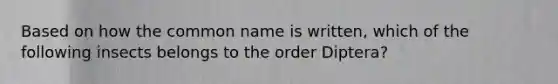 Based on how the common name is written, which of the following insects belongs to the order Diptera?