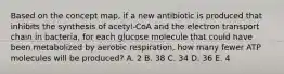 Based on the concept map, if a new antibiotic is produced that inhibits the synthesis of acetyl-CoA and the electron transport chain in bacteria, for each glucose molecule that could have been metabolized by aerobic respiration, how many fewer ATP molecules will be produced? A. 2 B. 38 C. 34 D. 36 E. 4