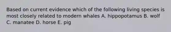 Based on current evidence which of the following living species is most closely related to modern whales A. hippopotamus B. wolf C. manatee D. horse E. pig