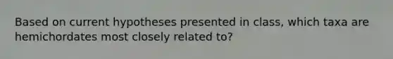 Based on current hypotheses presented in class, which taxa are hemichordates most closely related to?