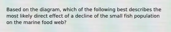 Based on the diagram, which of the following best describes the most likely direct effect of a decline of the small fish population on the marine food web?