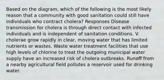 Based on the diagram, which of the following is the most likely reason that a community with good sanitation could still have individuals who contract cholera? Responses Disease transmission for cholera is through direct contact with infected individuals and is independent of sanitation conditions. V. cholerae grow rapidly in clear, moving water that has limited nutrients or wastes. Waste water treatment facilities that use high levels of chlorine to treat the outgoing municipal water supply have an increased risk of cholera outbreaks. Runoff from a nearby agricultural field pollutes a reservoir used for drinking water.