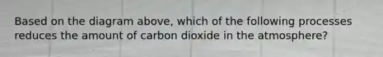 Based on the diagram above, which of the following processes reduces the amount of carbon dioxide in the atmosphere?