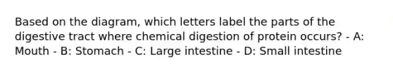 Based on the diagram, which letters label the parts of the digestive tract where chemical digestion of protein occurs? - A: Mouth - B: Stomach - C: Large intestine - D: Small intestine